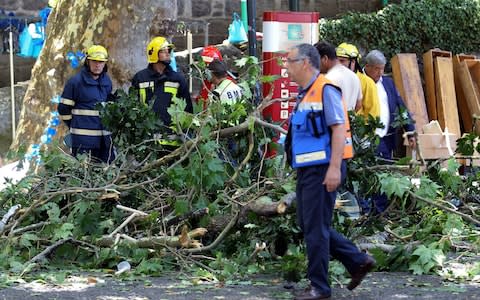 Firemen and emergency workers secure the site where a large tree fell and injured several people in Largo da Fonte - Credit: HOMEM DE GOUVEIA/EPA