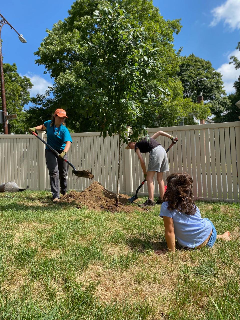 New England Botanic Garden summer interns plant a tree through the Get a Tree, Plant a Tree program.