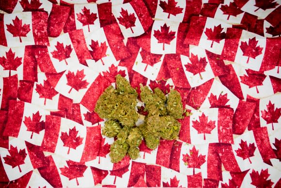 Marijuana buds on top of small Canadian flags.