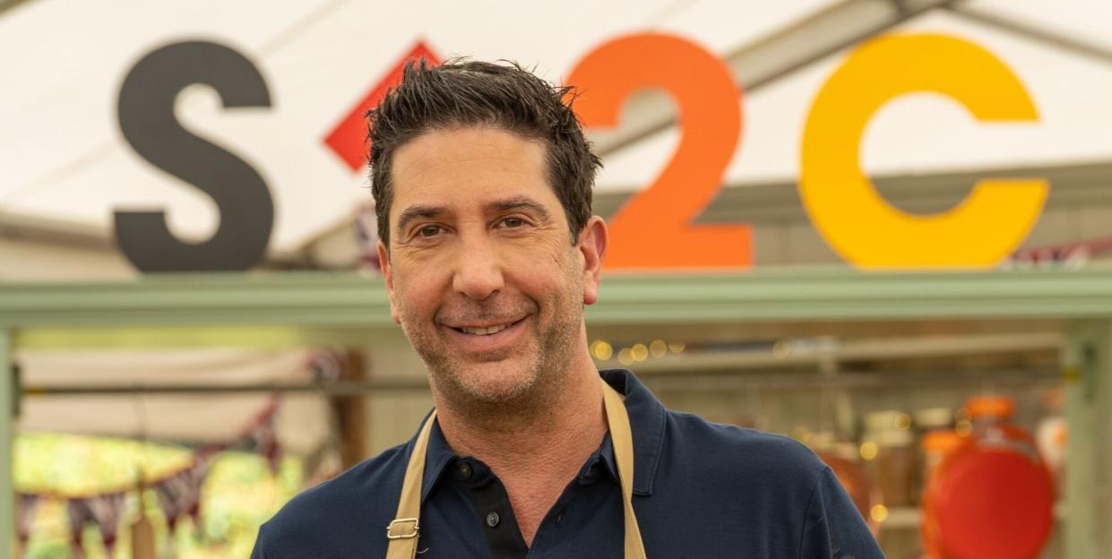 david schwimmer