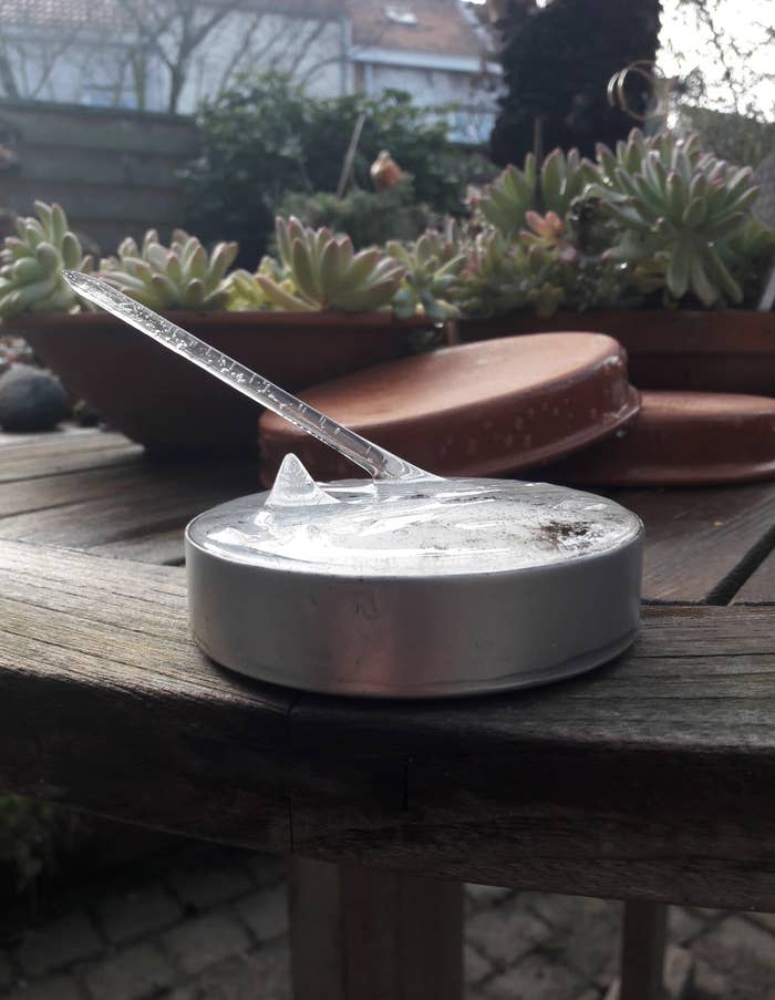 A can of wet cat food with the lid partially peeled open rests on a wooden outdoor table near potted succulents