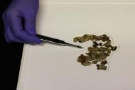 An employee points to a recently-discovered scroll fragment of an ancient biblical text as it is displayed at Israel Antiquities Authority laboratories in Jerusalem