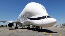 <p>Ha fatto il suo primo volo di prova il Cargo Airbus A330-743L Beluga XL, aereo dalla forma caratteristica che richiama proprio quella del particolare cetaceo dal colore bianco. (foto: REUTERS) </p>