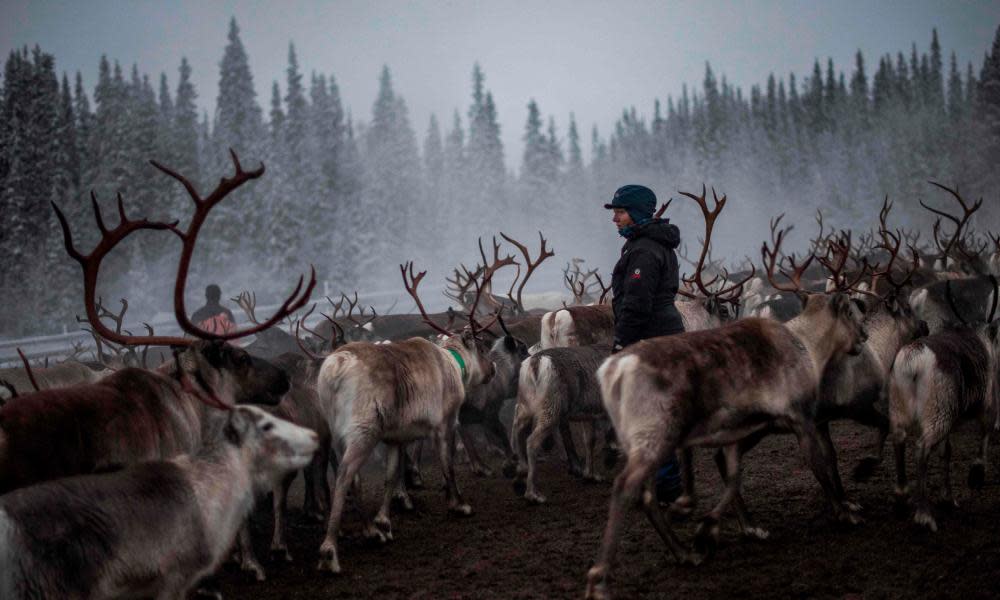 <span>Photograph: Jonathan Nackstrand/AFP via Getty</span>