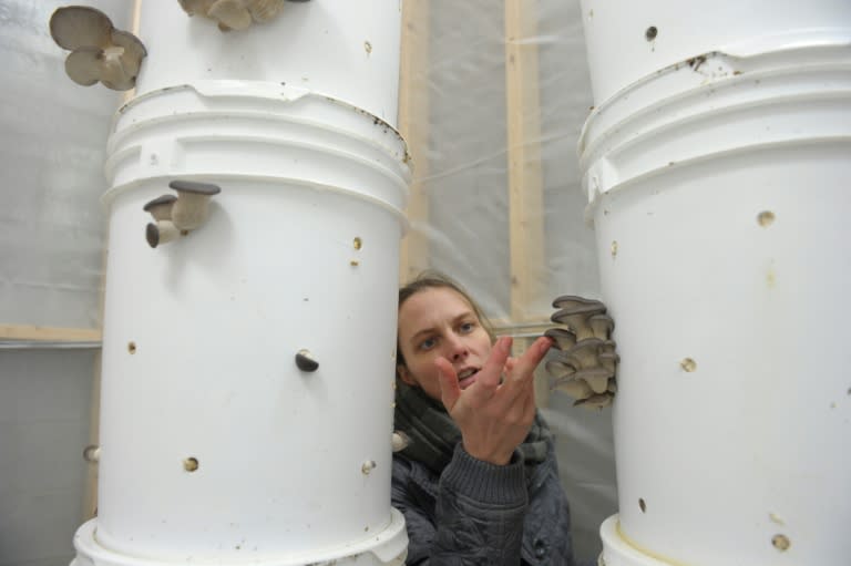 Lysiane Roy Maheu, co-founder of Montreal urban mushroom farming startup Blanc de Gris, is a passionate advocate of the circular economy