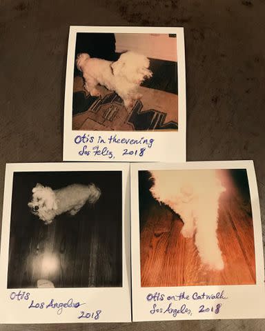 <p>Jim Parsons Instagram</p> Polaroids of Jim Parsons and Todd Spiewak's dog Otis on Parsons' Instagram