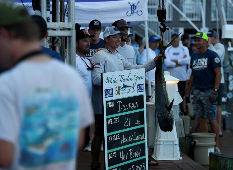 A 21 pound dolphin caught by Harley Smegal on Hey Buddy is brought to the scale Monday, Aug. 7, 2023, at the White Marlin Open in Ocean City, Maryland.