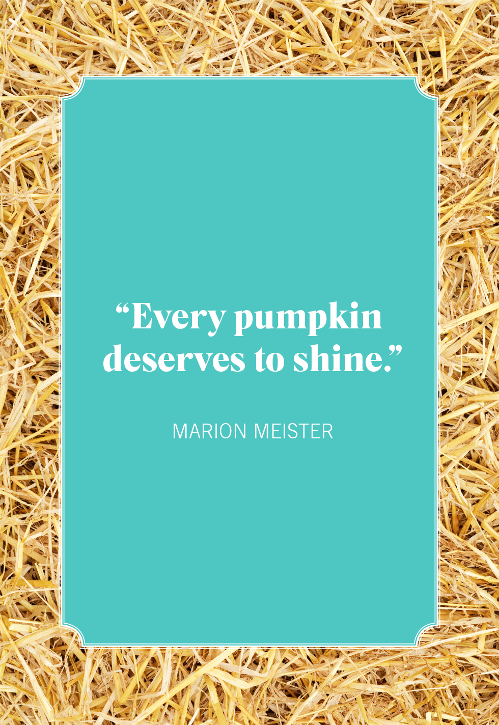 best pumpkin quotes