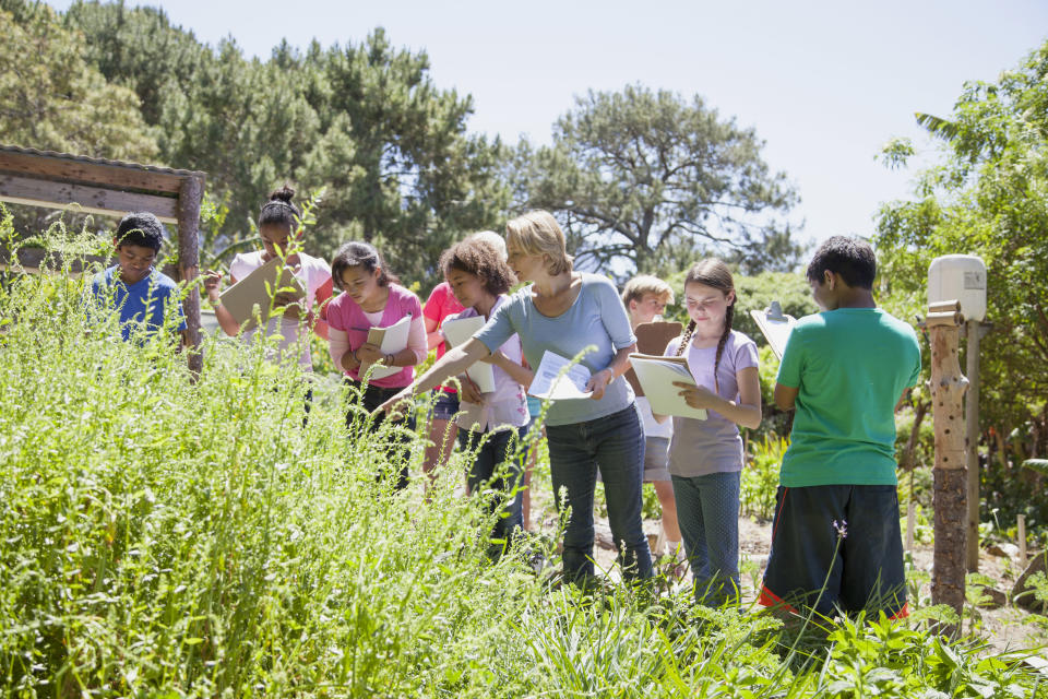 Niños (de 12 a 13 años) y su maestro, mirando un huerto orgánico en una excursión escolar en la naturaleza