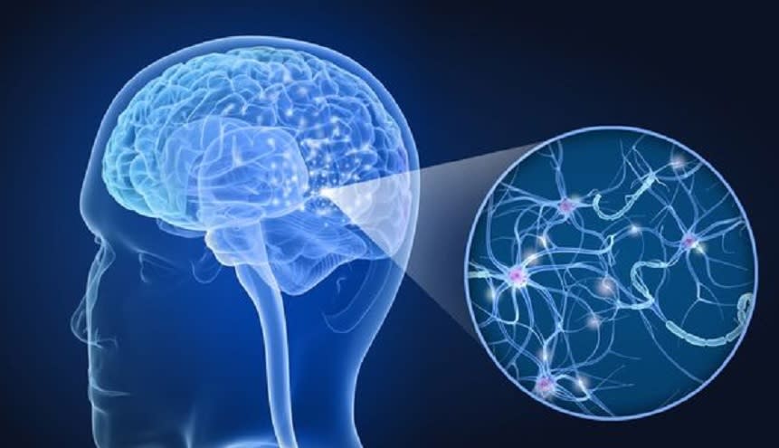 Esclerosis Múltiple: por qué es necesario un abordaje integral más allá de lo médico-farmacológico