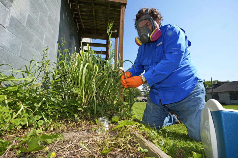 Scott Smith, whose testing in East Palestine, Ohio, has been sited in a petition by the Government; Accountability Project, tests onions grown in the garden of Tamara Lynn Freeze in East Palestine, Ohio, on Wednesday, June 12, 2024. Freeze, lives across the street from the site of the derailment of a Norfolk Southern train earlier this year.. (AP Photo/Gene J. Puskar)