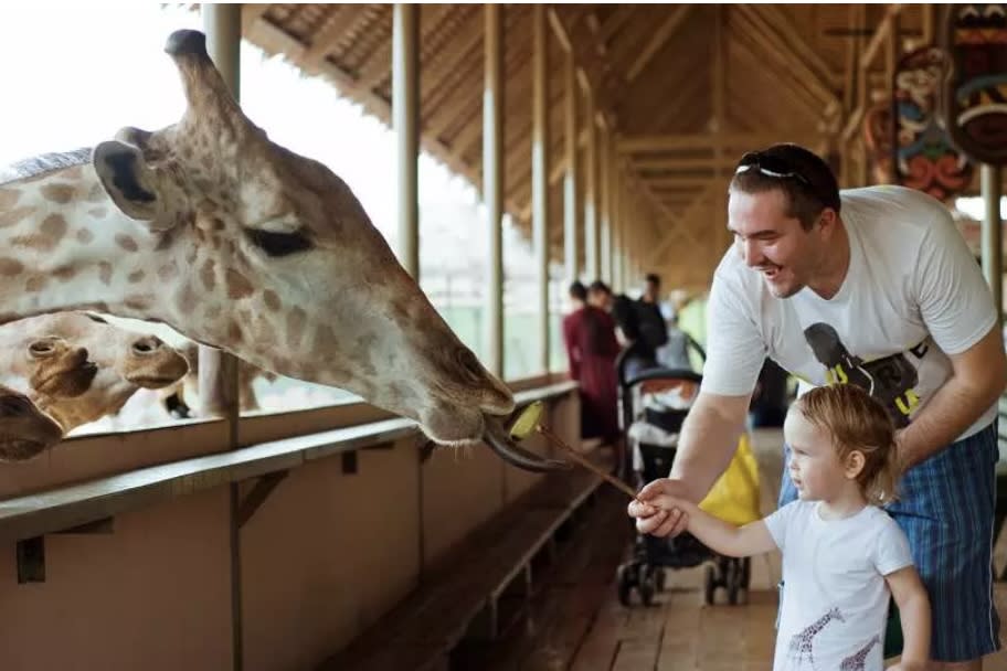 泰國旅遊｜亞洲最大野生動物園「曼谷塞福瑞野生動物園」門票75折優惠！人均$170起暢遊5,000公頃海陸兩大園區＋近距離接觸老虎及長頸鹿