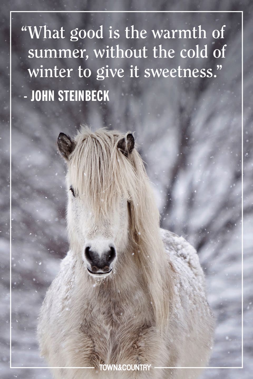 Quotes About Winter to Warm the Heart