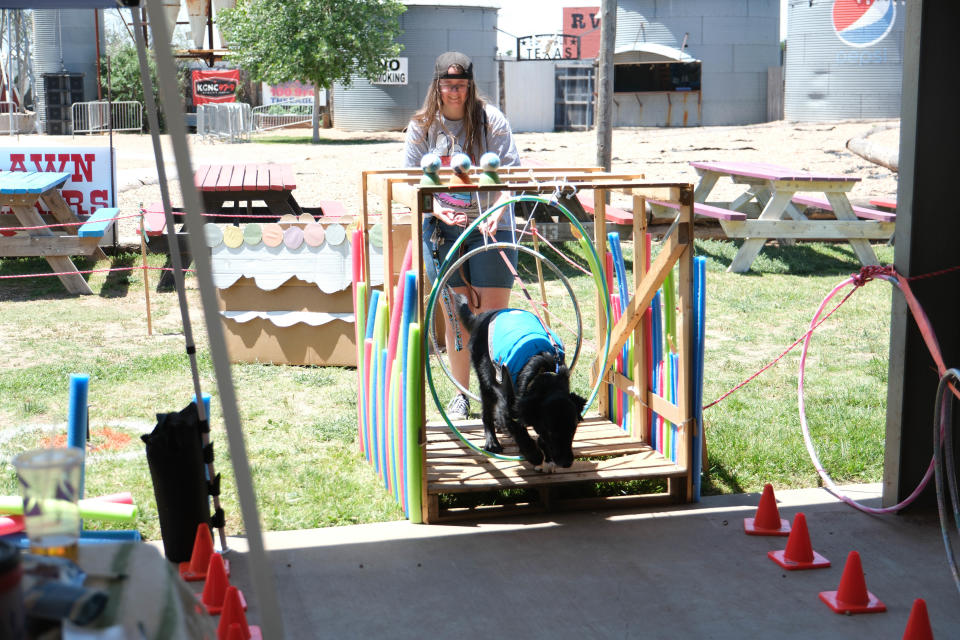 Kylie runs her dog through hoops at the 30th annual Muttfest at the Starlight Ranch Event Center in Amarillo.