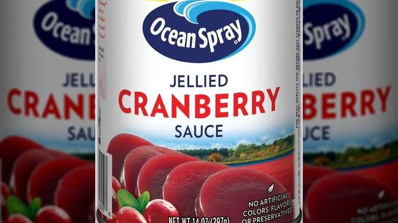  Ocean Spray Jellied Cranberry Sauce