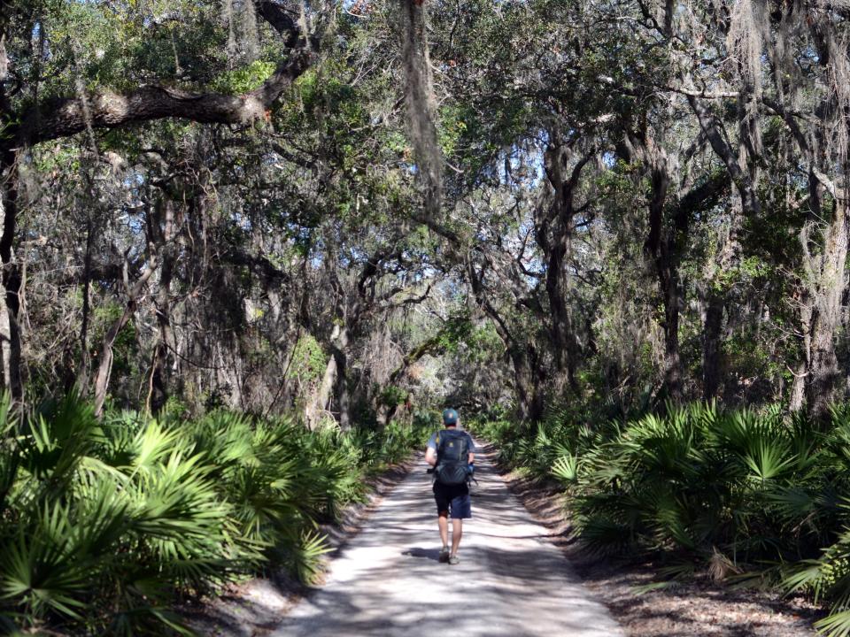 Mikah Meyer walks away with a backpack on in the middle of a path between two rows on trees.