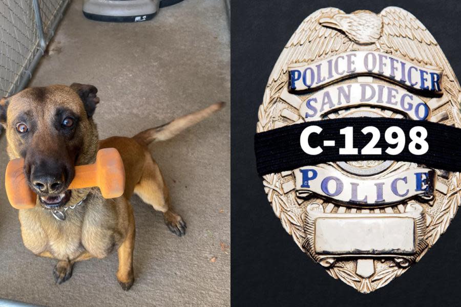 Hombre mata a oficial K9 tras tiroteo en San Diego 