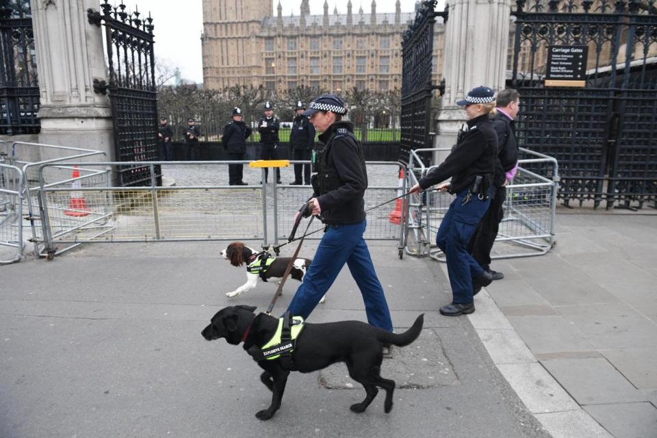 Sniffer dogs on patrol at the scene of the attack (Jeremy Selwyn)