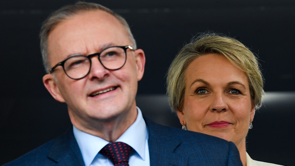 Tanya Plibersek and Anthony Albanese standing next to each other. There is a black background.