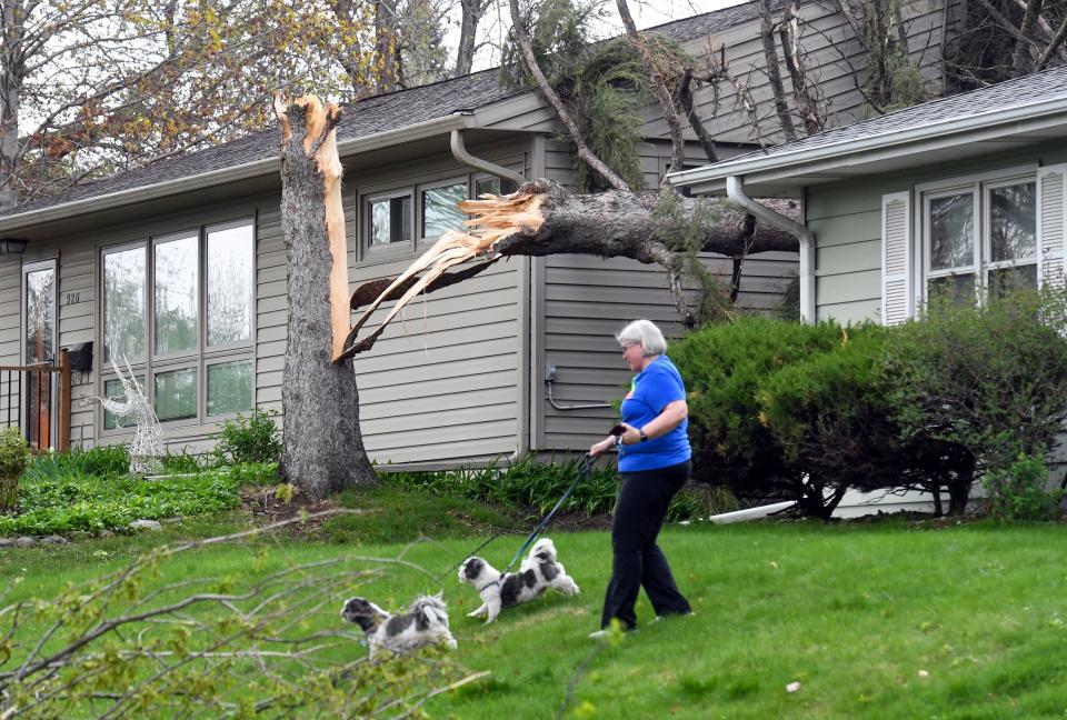 Mary Osthus walks her dogs, Max and Rudy, in front of a damaged tree that fell perfectly between her house and her neighbor's on 36th Street on Thursday, May 12, 2022, in Sioux Falls.