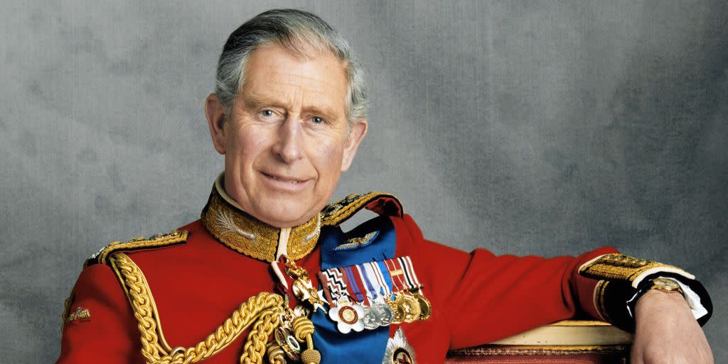 london, november 13  no publication in uk media for 28 days prince charles, prince of wales poses for an official portrait to mark his 60th birthday, photo taken on november 13, 2008 in london, england  photo by hugo burnandanwar hussein collectionwireimage