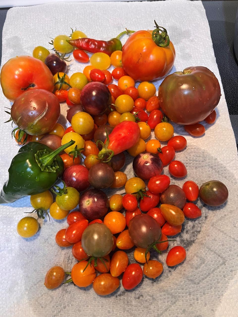 A bounty from the garden of Laurie Mattingly, whose home is part of the "Experience Memphis Gardens" tour.