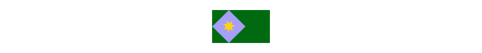 flag icon