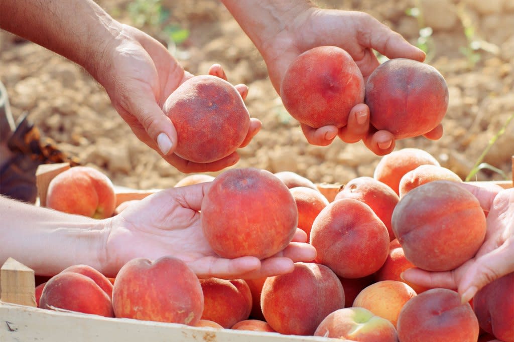 Soft, fuzzy peaches make a nice hangout spot for the wrong kind of chemical element, experts warn. nemke