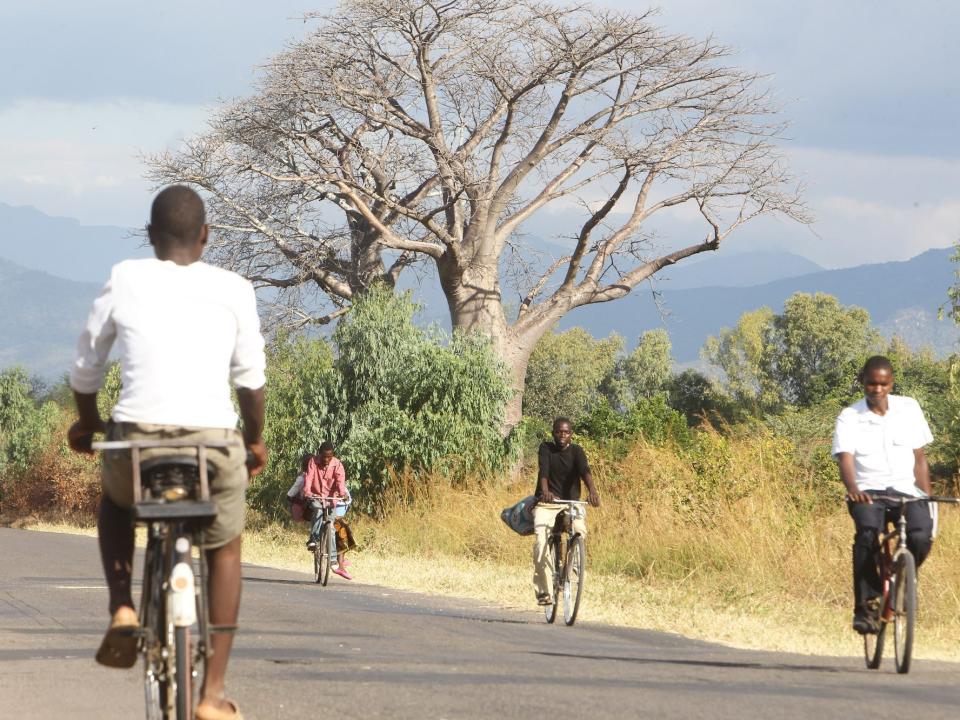 People in Malawi cycling on a road with a tree in the background, in this Monday, May, 23, 2016 photo in the Machinga district,Malawi