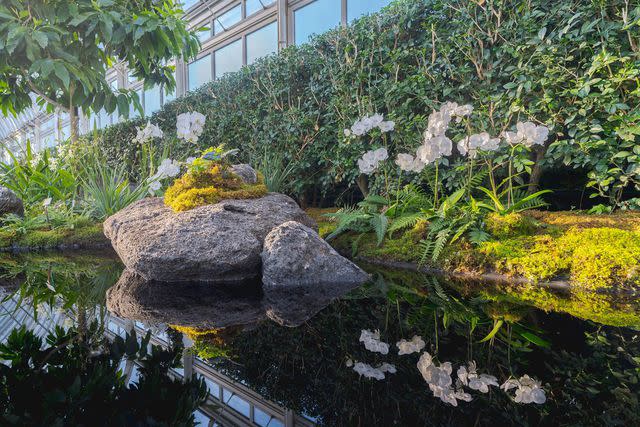 <p>Courtesy of The New York Botanical Garden</p>