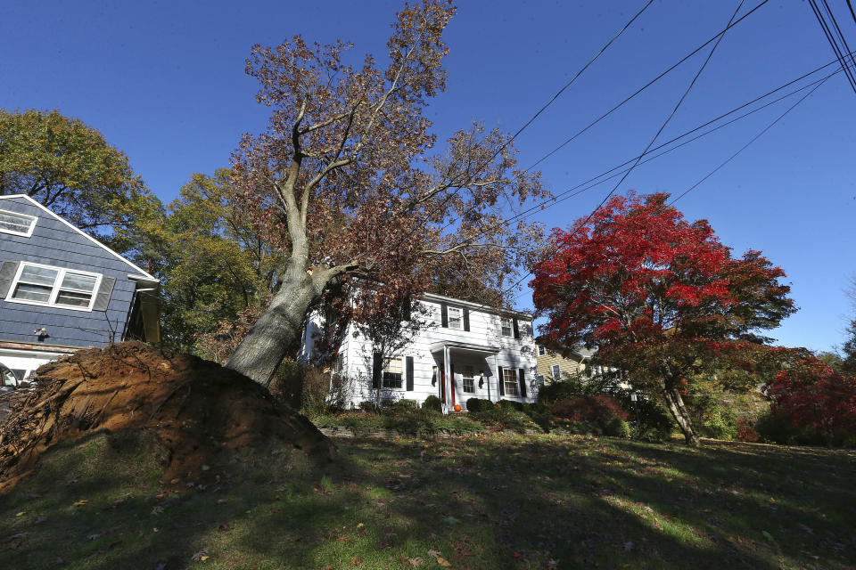 A large Oak tree leans on the roof of a house on Green Village Road on Friday, Nov. 1, 2019, in Madison, N.J. The borough was hit by high winds on heavy rain late the night before. (AP Photo/Rich Schultz)