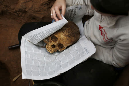 A member of the Association for the Recovery of Historical Memory (ARMH) wraps a skull in newspaper as he takes part in the exhumation of the grave in Guadalajara's cemetery, Spain, January 23, 2016. REUTERS/Juan Medina