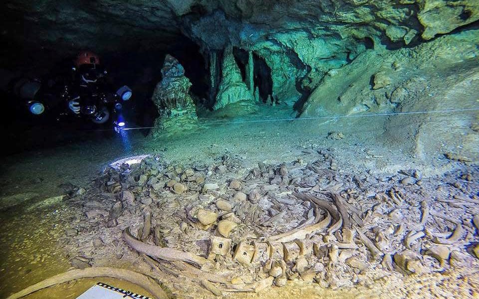 Divers explore the Sac Actun caves in Mexico, described as the 'most important underwater archaeological site in the world' - INAH