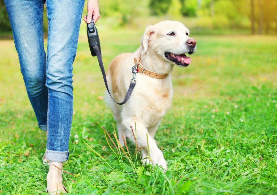 There are health benefits in it for everyone. Photo: Getty