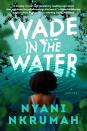 <p>Vividly bringing to life rural 1980s Mississippi, Nkrumah's fearless debut unfurls the fraught friendship between an unhappy 11-year-old Black girl and a White researcher studying the effects of the civil rights movement—but hiding a nefarious<br>personal connection.</p> <p><strong>Buy It: </strong><a href="https://bookshop.org/p/books/wade-in-the-water-nyani-nkrumah/18422830?ean=9780063226616" rel="nofollow noopener" target="_blank" data-ylk="slk:Bookshop.org;elm:context_link;itc:0;sec:content-canvas" class="link ">Bookshop.org</a></p>