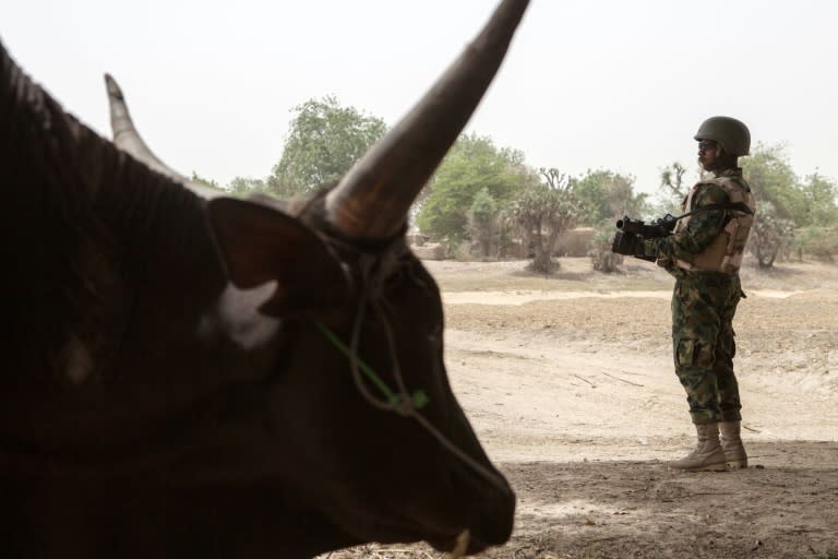 Nigerian troops have been deployed to curb rising crime from cattle rustling and kidnapping gangs, as well as to stop attacks on oil and gas infrastructure