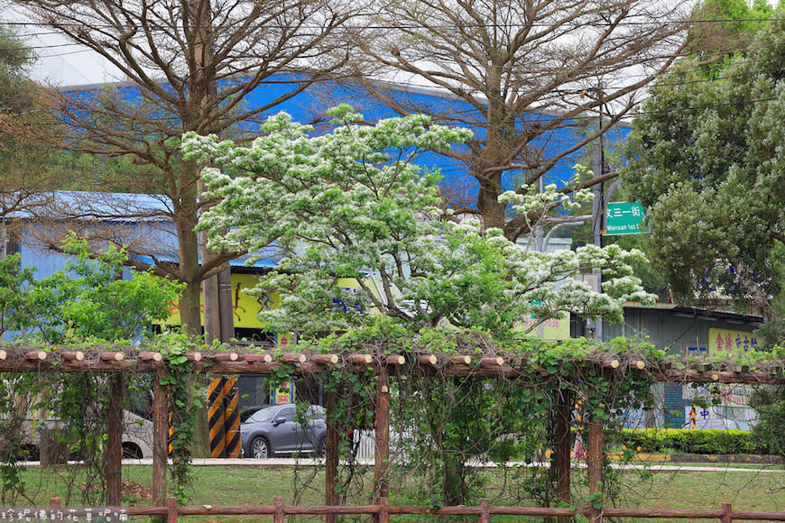 桃園｜大湖紀念公園