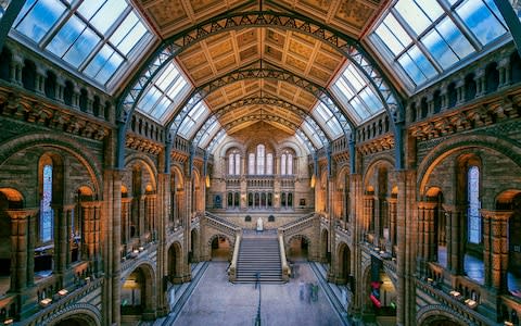 The National History Museum: also lovely, but with dinosaurs - Credit: daniel vine