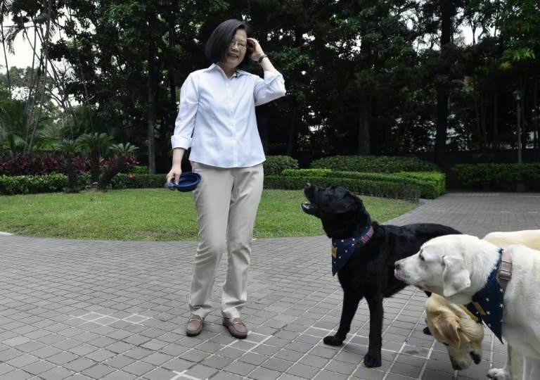 Taiwan's President Tsai Ing-wen with her pet dogs