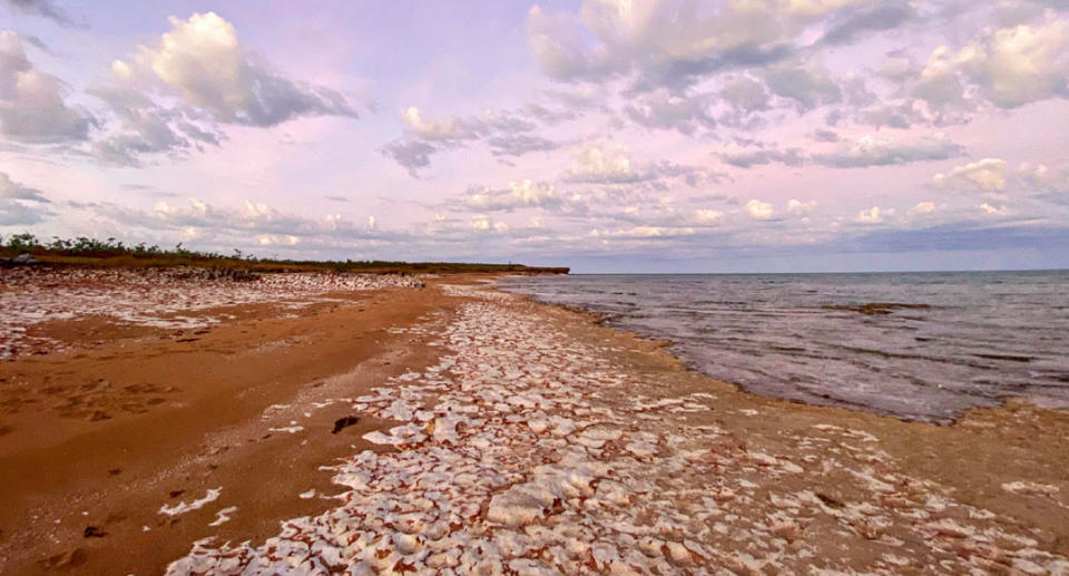 Mornington Island in Queensland. 