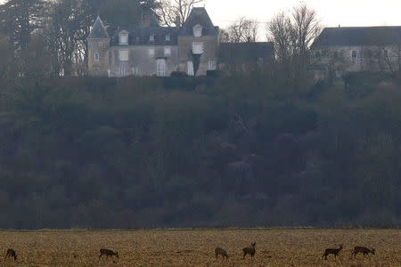 Deer are seen in front of the Manor of Beauce, a 14th century building which is the Fillon's home in Solesmes, near Sable-sur-Sarthe, western France, January 31, 2017. REUTERS/Stephane Mahe