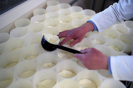 Charles Breant one of the owners of French non-pasteurized Camembert cheese farm ''Le 5 Freres de Bermonville", ladles milk curd into molds at the farm in Bermonville, France, March 12, 2019. REUTERS/Gonzalo Fuentes