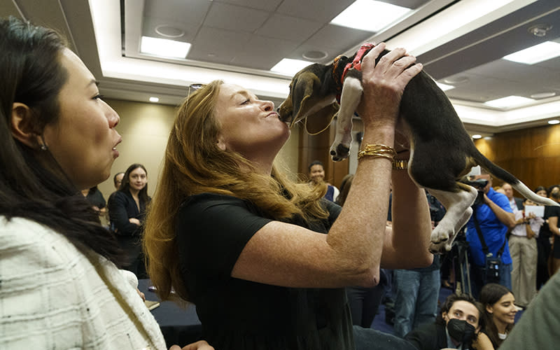 Rep. Kathleen Rice (D-N.Y.) holds a beagle recently rescued from the Envigo breeding and research facility