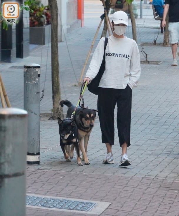 有時黃心穎獨自落公園放狗。

