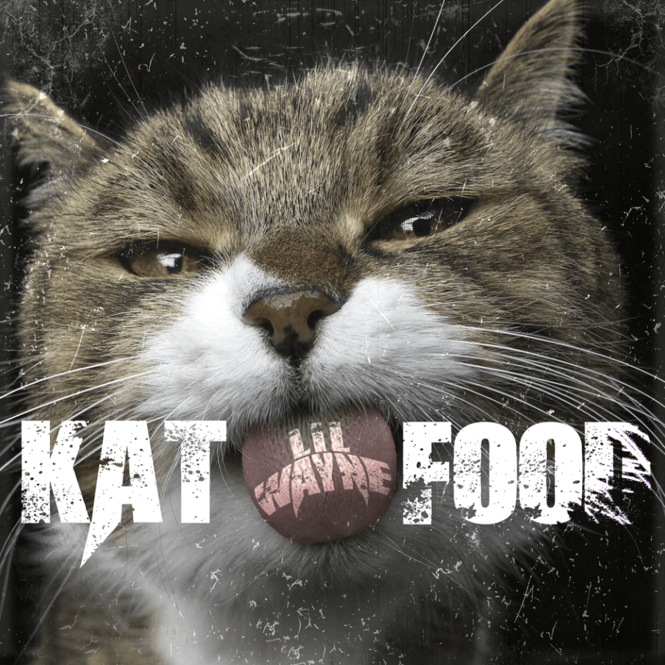 Lil Wayne “Kat Food” cover art