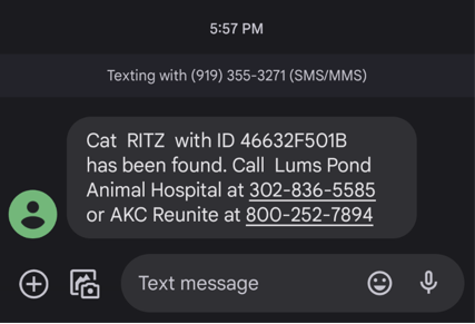 Sixteen years after his cat went missing, Jason McKenry received this text Monday informing him Ritz had been found.