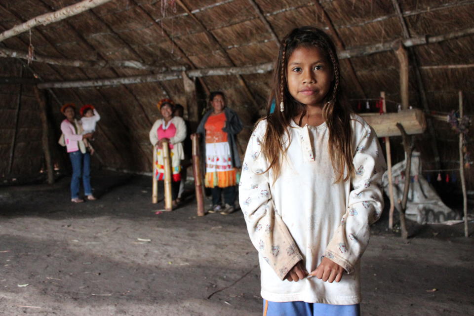 Damiana is from the Guarani-Kaiowá tribe, who are thought to have  been one of the first peoples to be contacted after Europeans arrived in South America. (Photo by Survival International)