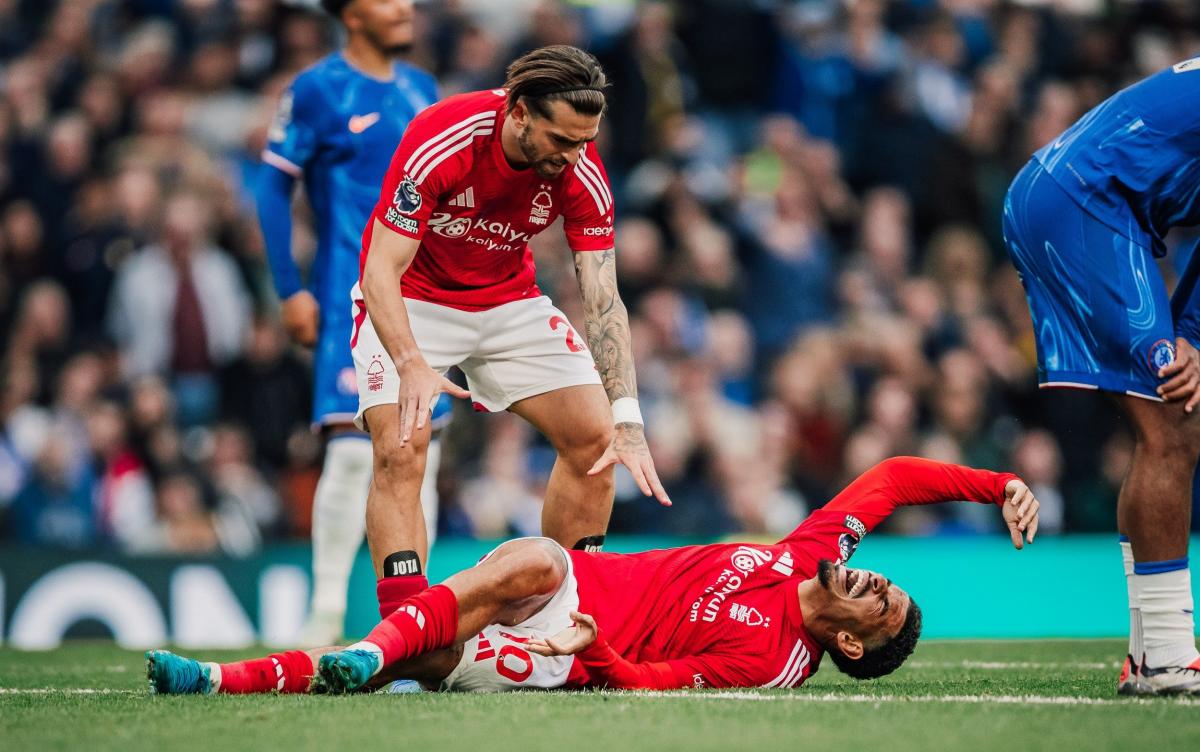 England hit by triple injury blow for Nations League as Lee Carsley faces centre-back shortage