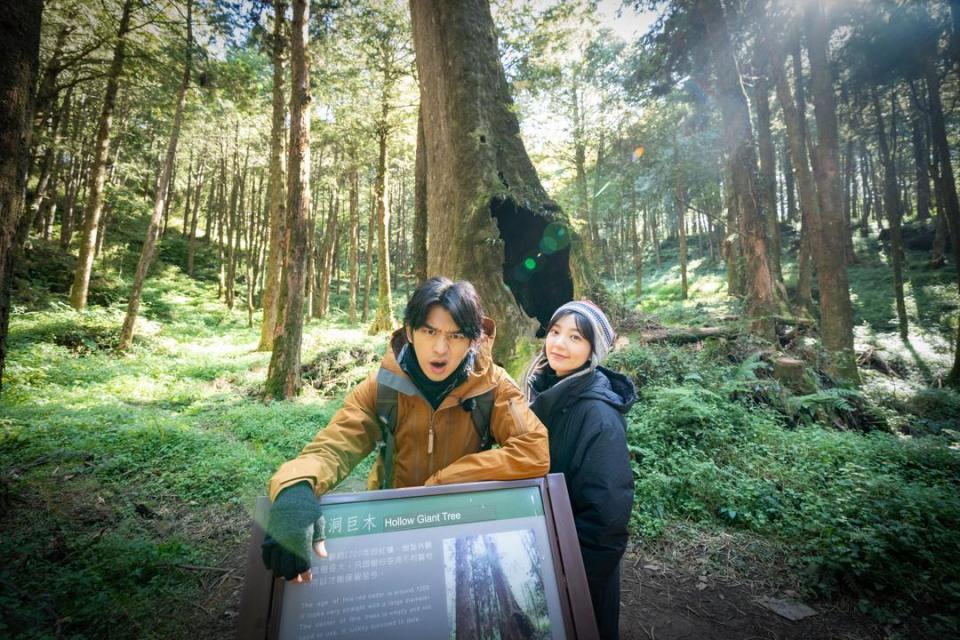 郭雪芙（右）與陳柏霖（左）到阿里山森林遊樂區，一睹雄偉的水山巨木。（LINE TV提供）