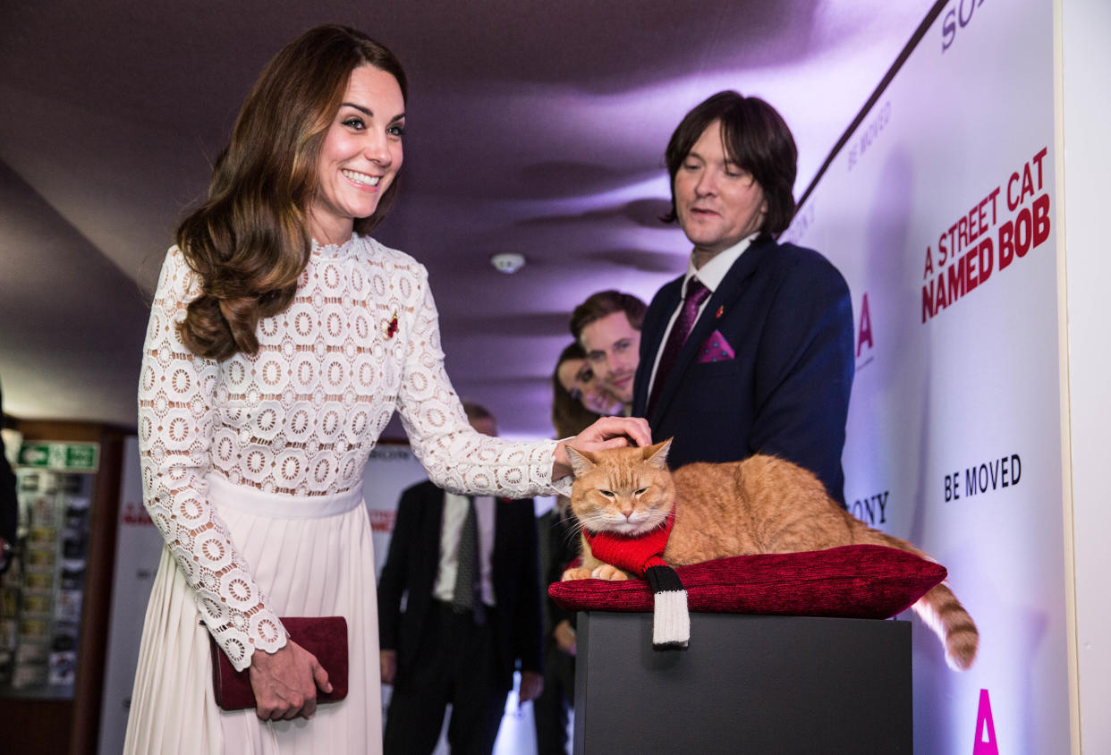 Catherine, The Duchess of Cambridge, Bob and James Bowen at the World Premiere of A Street Cat Named Bob. (Getty Images)